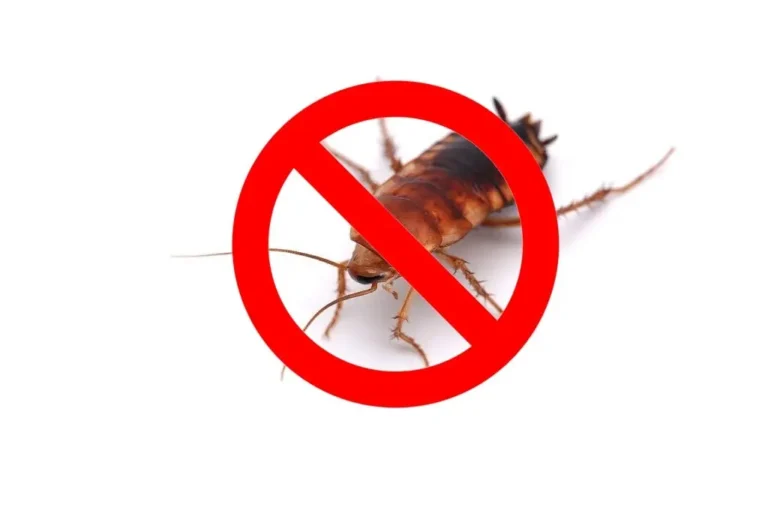 pest control wasaga